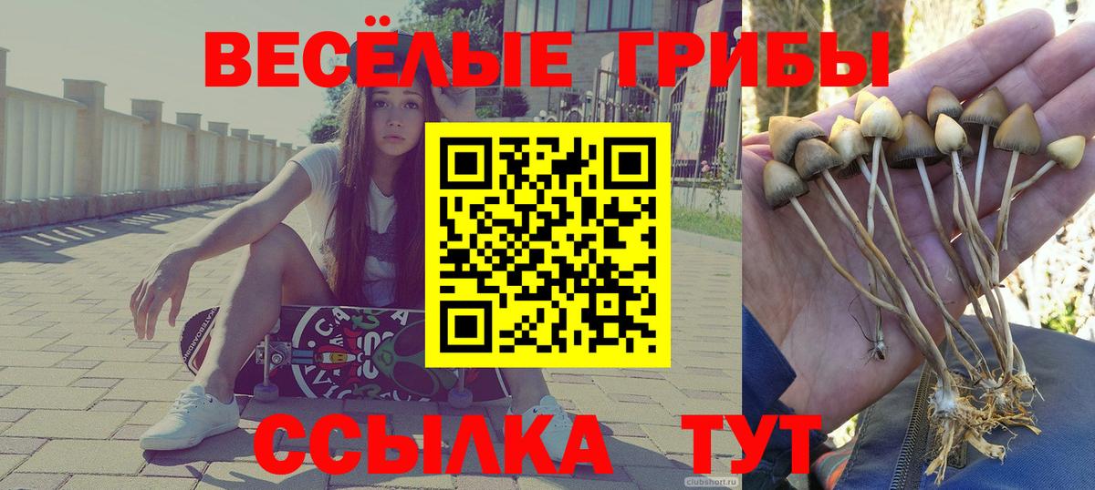 Псилоцибиновые грибы ЛСД Зима