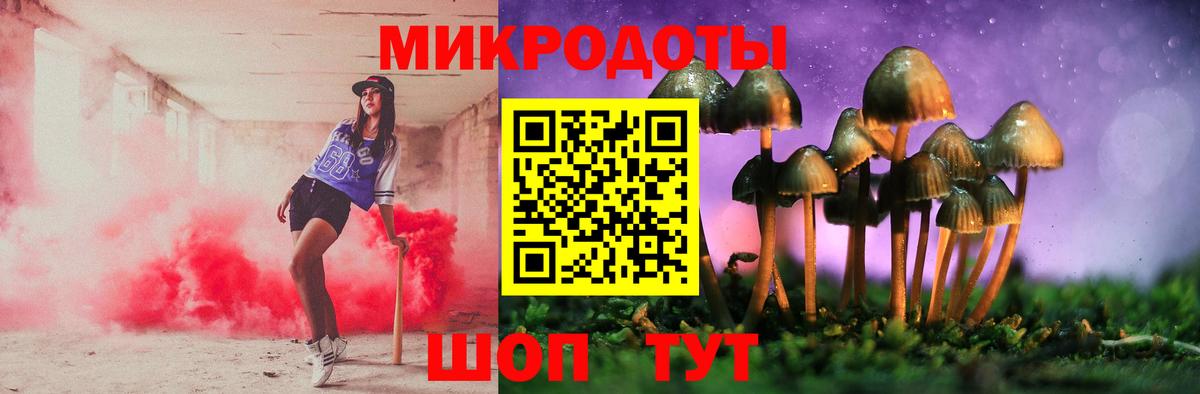 Галлюциногенные грибы Psilocybe  закладки  Зима  Вход с VPN 
